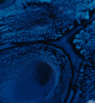 LAST CHANCE TO SAVE ON ARTIST INK  SALE ENDS FRIDAY 2ND SEPTEMBER