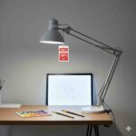 The Daylight Company Clearance Sale