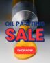 The Art Shops: Oil Painting Sale Now On