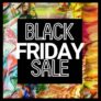 Liquitex: Limited time: Black Friday at Liquitex