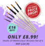 The Art Shop Skipton: Studio 22 Watercolour Brushes set of 6 only £8.99 RRP. £24.99