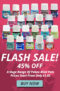 Art Shop Skipton: Pebeo Flash Sale!